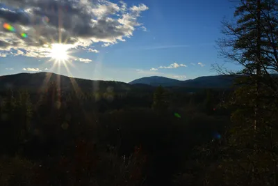 DSC_5966 (Large).JPG